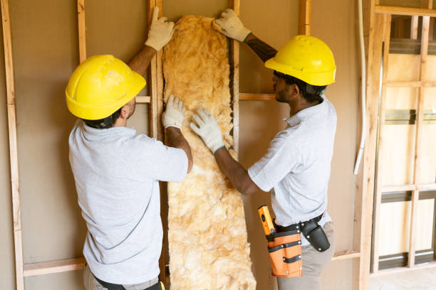 Best Eco-Friendly or Green Insulation Solutions  in Charlotte, TX